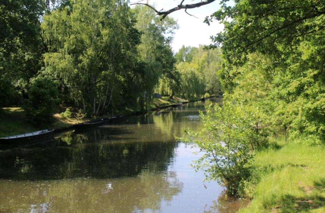 Spreewald Ferienwohnung Noack Lübben Eksteriør billede