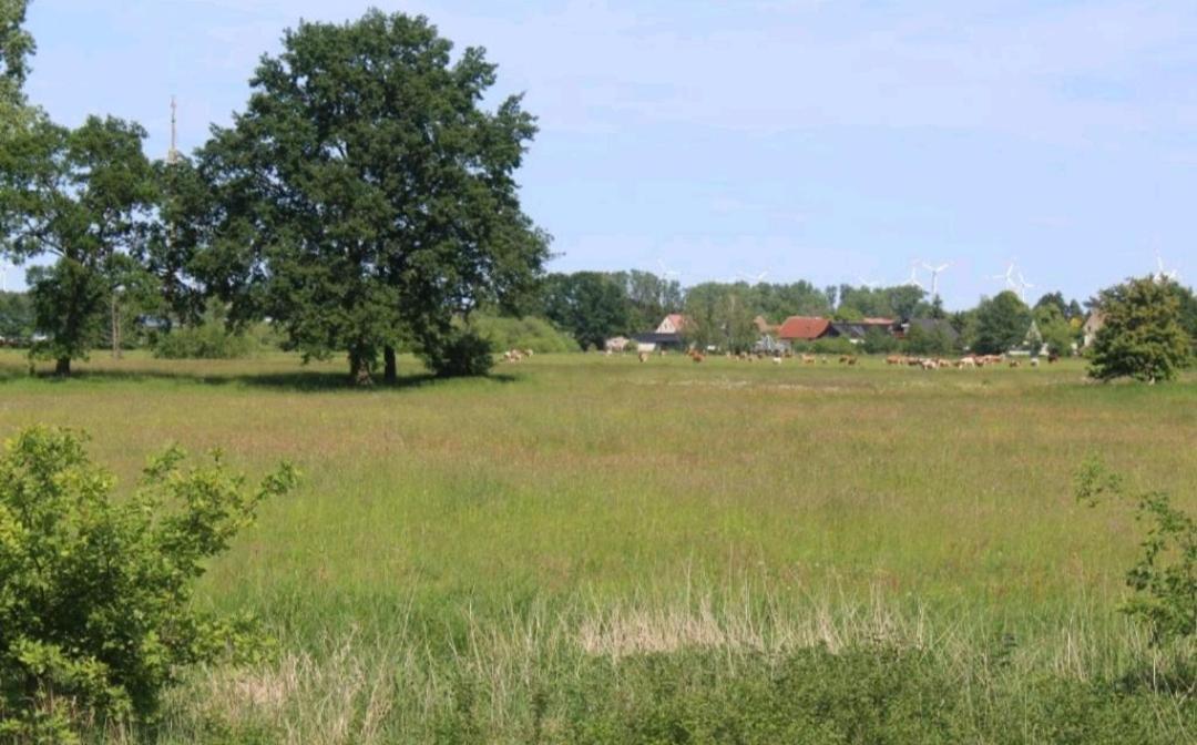 Spreewald Ferienwohnung Noack Lübben Eksteriør billede