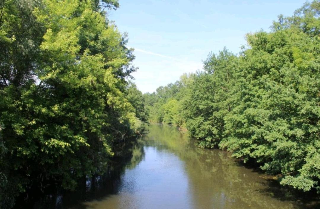 Spreewald Ferienwohnung Noack Lübben Eksteriør billede