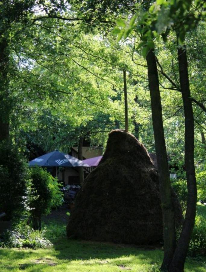 Spreewald Ferienwohnung Noack Lübben Eksteriør billede